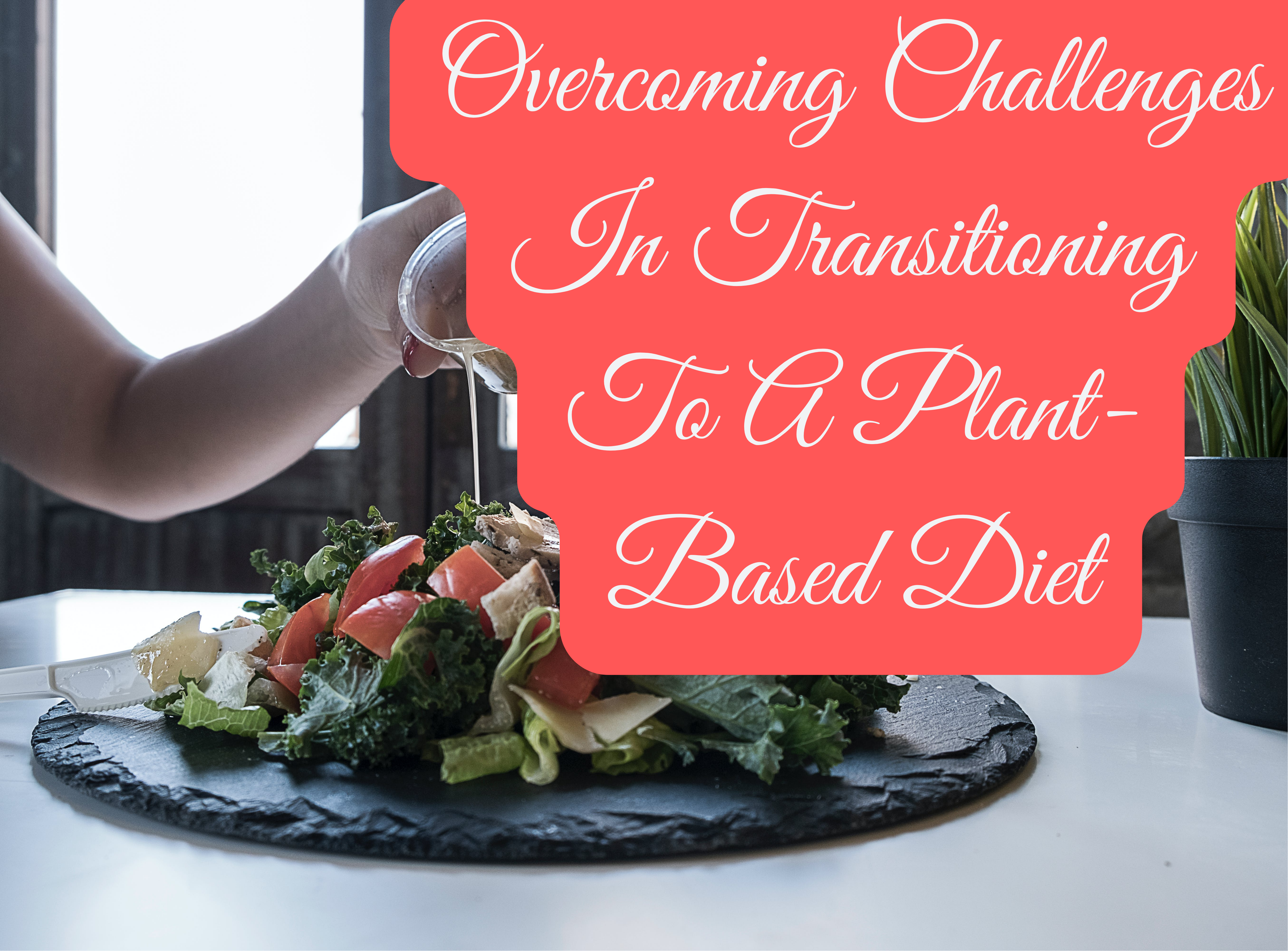 Overcoming Challenges in Transitioning to a Plant-Based Diet