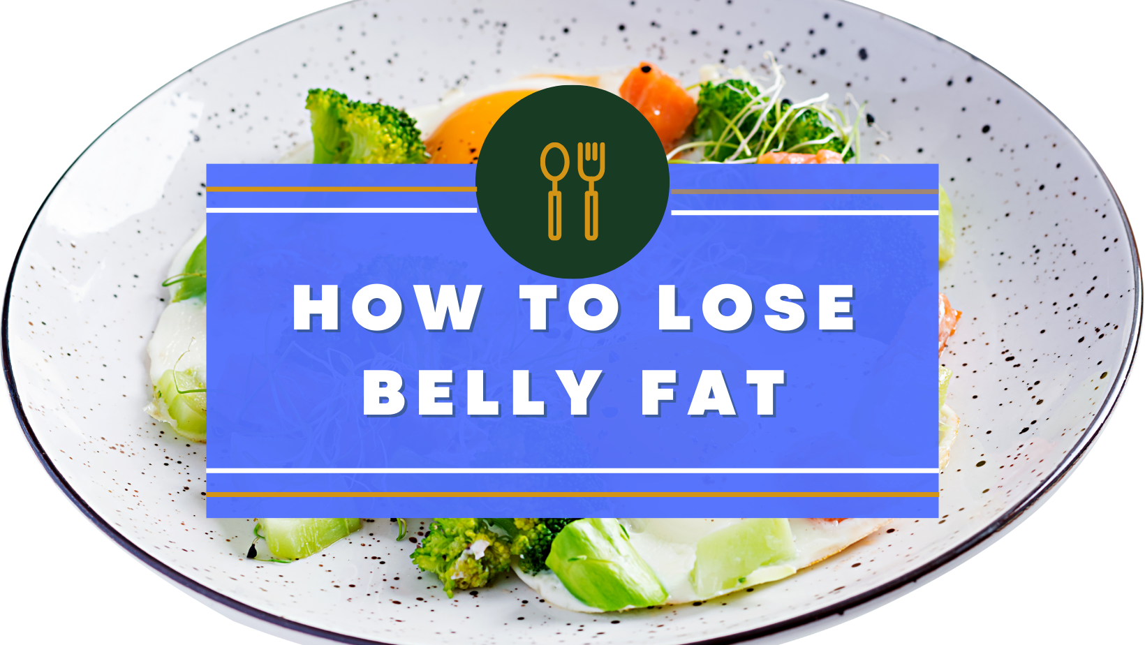 How To Lose Belly Fat