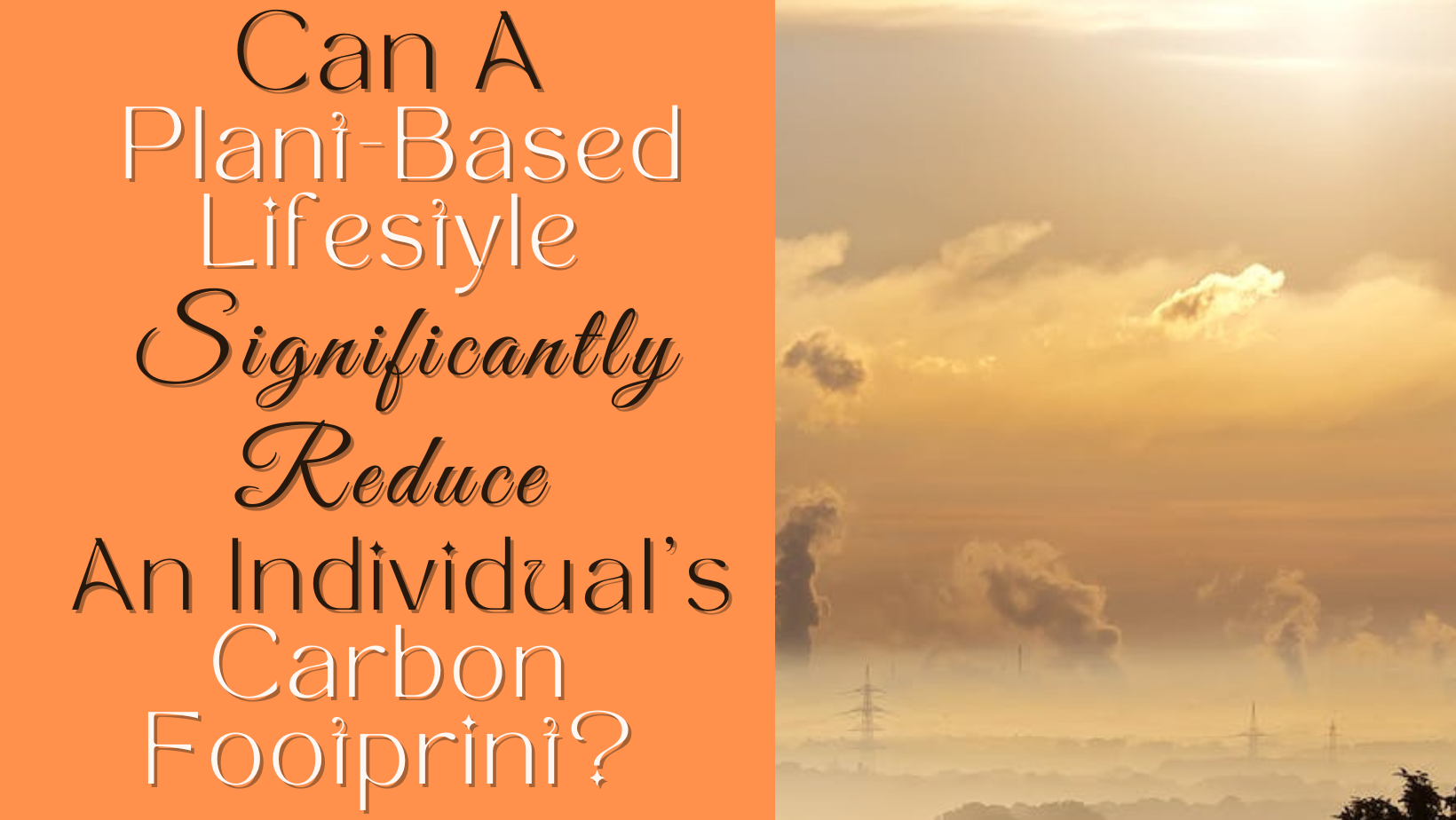 Can a plant-based lifestyle significantly reduce an individual’s carbon footprint?